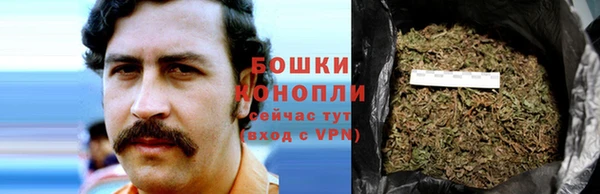 каннабис Магас