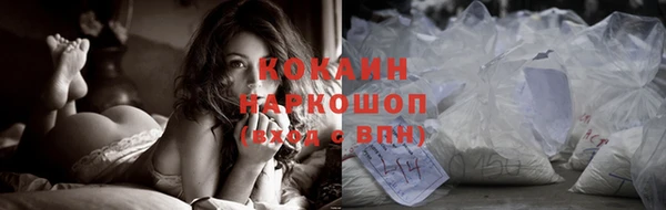 крисы Майский