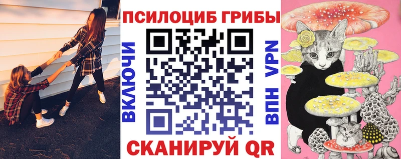 Купить  Черняховск  Галлюциногенные грибы ЛСД 